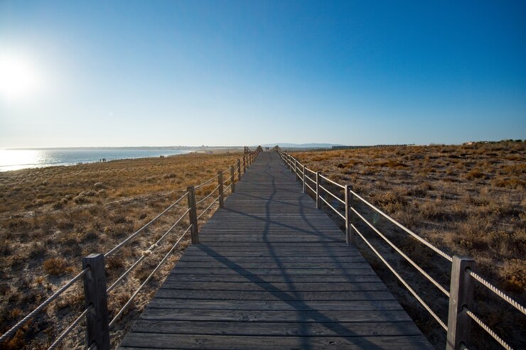Le Chemin de Stevenson